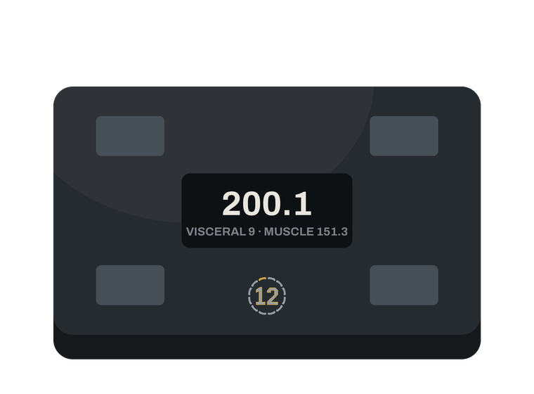 Connected body composition scale